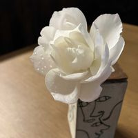 アイスバーグ,ガーデニング,バラ無農薬,庭の画像