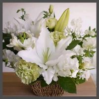 ヤグルマギク,ヤグルマギク,ラナンキュラスラックス,ラナンキュラスラックス,供花の画像