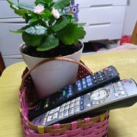 花鉢入れ籠,和室の画像