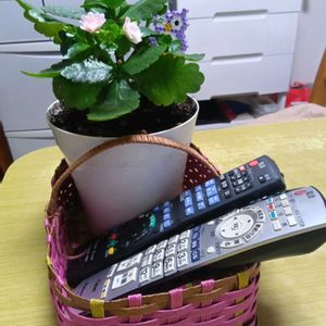 花鉢入れ籠,和室の画像