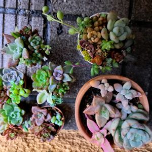 階段/廊下の画像