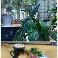 サボテン,カフェの画像