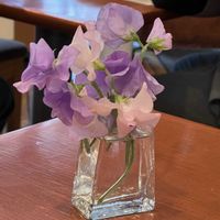 スイートピーの画像