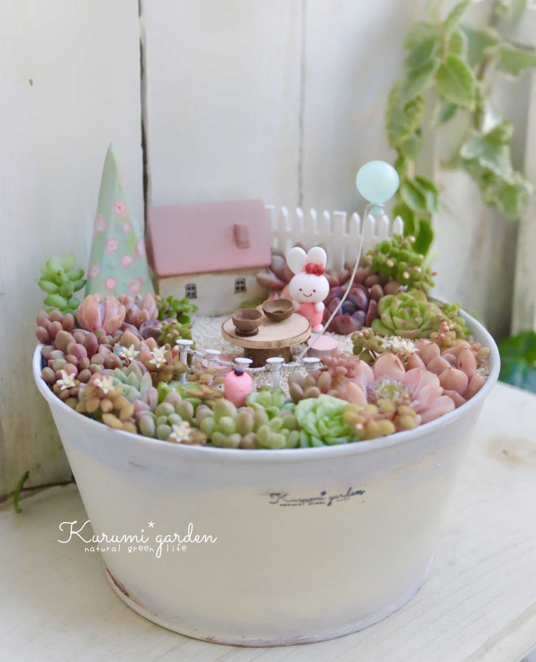 多肉箱庭の投稿画像一覧｜🍀GreenSnap（グリーンスナップ）
