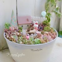 多肉,エケベリア,多肉植物 寄せ植え,多肉植物 寄せ植え,箱庭の画像