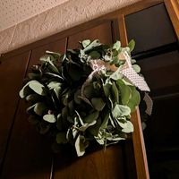 ユーカリ ポポラス,ユーカリグニー,リース,no green no life,植中毒の画像