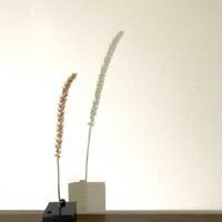一輪挿し,花瓶,山野草,花のある暮らし,野の花の画像