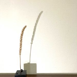 一輪挿し,花瓶,山野草,花のある暮らし,野の花の画像