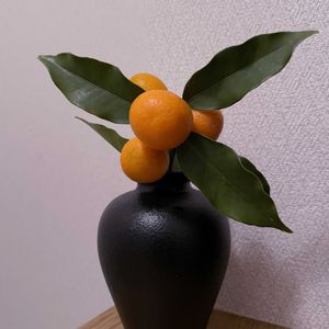 キンカン,一輪挿し,iPhone撮影,asingleflowervaseの画像