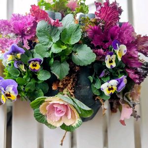 ハボタン,葉牡丹,ビオラ,大人の着せ替え人形,ハンギングバスケットの画像