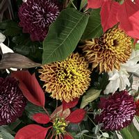 カサブランカ,キク,ケイトウ,ポインセチア,ユーカリの画像