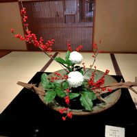 ウメモドキ,キク,レモンリーフの画像