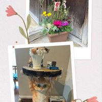 花のある暮らし,ねこと緑のある暮らし,ニャンニャン祭りの画像