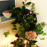 お花を楽しむ,部屋の画像
