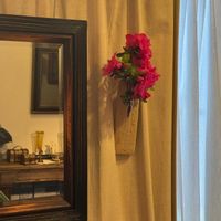 アザレア（西洋躑躅,花言葉,花のある暮らし,誕生花,GS映えの画像