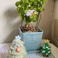 亀甲竜,亀甲竜,ナノブロック,全国オヤジ連合会,ニャンニャン祭りの画像