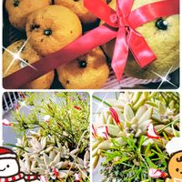 アロエ,サボテン,柚子,秀麗,サボテン寄せ植えの画像