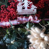 ナンテン,ヒイラギ,ドライフラワーいろいろ,ドイツトウヒ,ドイツトウヒの冬芽*の画像