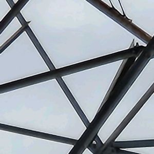 コルジリネ レッドスターの画像