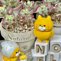 多肉植物,紅葉する多肉,乙女心☆,❤️いいね、ありがとう,神奈川県の画像