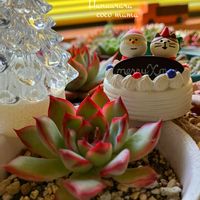 花うらら,キュンキュン乙女倶楽部,HTC,富山支部,部員No.136キュンキュン乙女倶楽部の画像