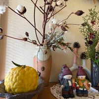 獅子柚子,獅子柚子,お風呂,冬至,写真撮影の画像