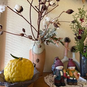 獅子柚子,獅子柚子,お風呂,冬至,写真撮影の画像