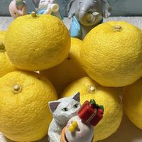 柚子,ムーンストーン,ビオラ タイガーアイ,タイガーアイ,ユズの画像