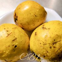 カリン,カリン,花梨,花梨の実,かりんの実の画像