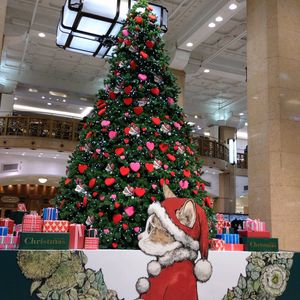 ユズ,クリスマスツリー,にゃんにゃん祭り,お出かけ先の画像