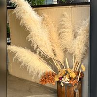 パンパスグラス,ふわふわ,ウォーキングの楽しみの画像