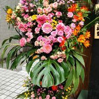 開店祝いに飾られてたお花,スタバ開店祝いの花,開店祝いのお花達,開店祝いの花籠,開店祝いの画像
