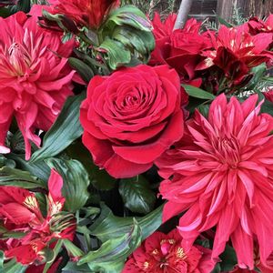 フラワーアレンジメント,京都,鮮やか ,生け花,カラフルの画像