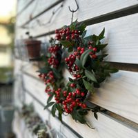 南天(なんてん),南天(なんてん),リース,クリスマスリース,手作りリースの画像