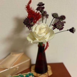 バラ,アストランティア,バラ、薔薇、ばら,切り花,青山フラワーマーケットの画像