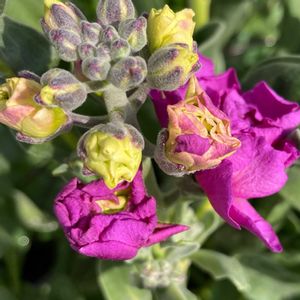 玄関アプローチの画像