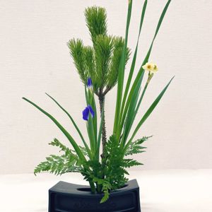 レザーファン,水仙,アイリス,根引松,生け花の画像