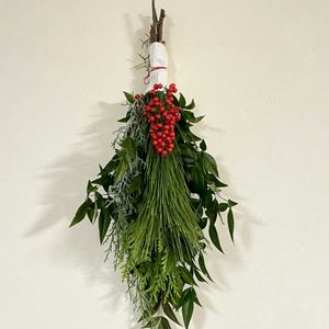 ナンテン,ナンテン,ブルーアイス,ブルーアイス,マツの画像