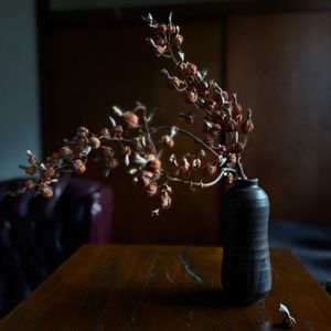 月桃,ドライフラワー,花器,庭の恵みの画像