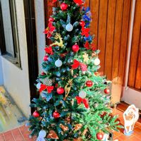 リンゴ,クリスマスツリー♡,クリスマスツリー,武蔵野公園,クリスマス月間の画像