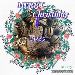 タイサンボク,ムクロジ,キリ,ナンキンハゼ,メタセコイヤの画像