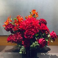 アルストロメリア,アルストロメリア,ダリア,色あざやか,友情の画像