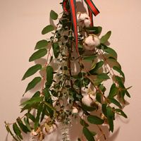 ワタ,ユーカリグーニー,手作り,レモンユーカリ,クリスマススワッグの画像