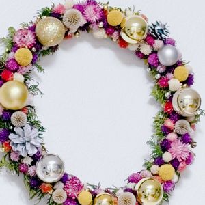 千日紅,ブルーアイス,クリスマスイブ,孔雀ひば,クラスぺデイアの画像