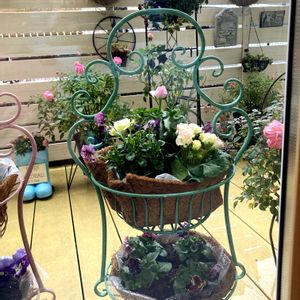 寄せ植え,ガーデニング,小さな庭,リビング・ダイニングの画像