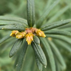 小さな庭,リビング・ダイニング,その他エクステリアの画像