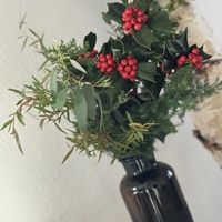 ブルーアイス,ティーツリー,生花,クリスマスツリーの画像