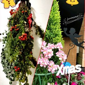 クリスマスイブ,押し花＊,クリスマス スワッグ,寄せ植え,キッチンの画像
