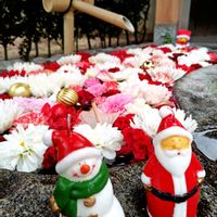 カーネーション,ダリア,スィートピー,寺社仏閣,花手水の画像