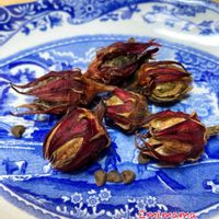 ローゼル,ローゼルの実。,ﾛｰｾﾞﾙの種.,可愛い,素敵便の画像